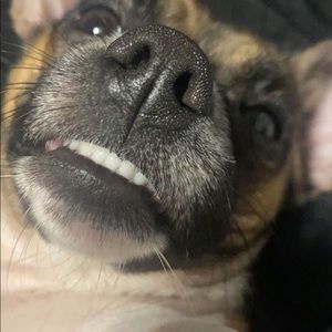 Meet your Posher, Donelia